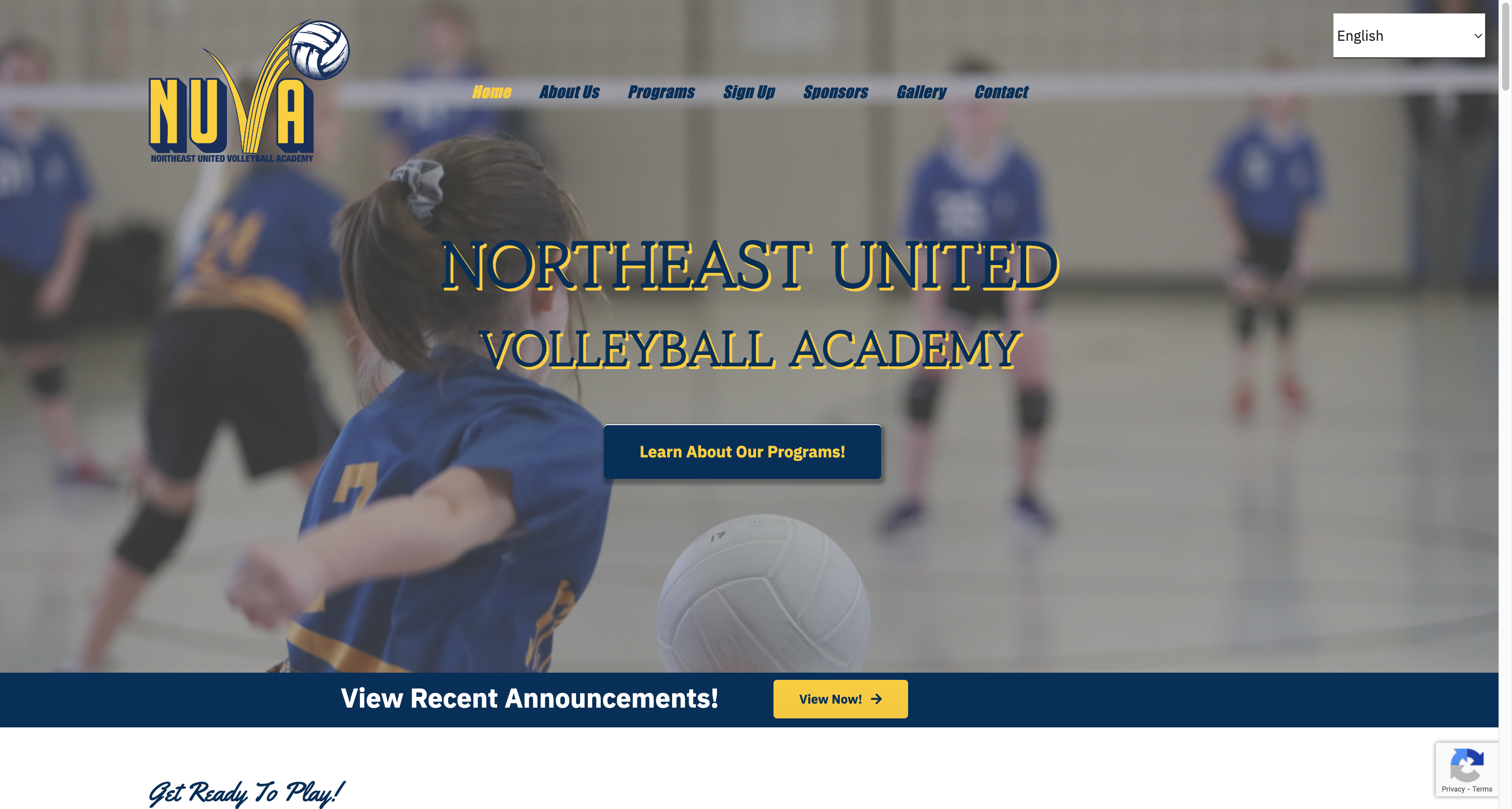 Desktop view of Northeast United Volleyball Academy site